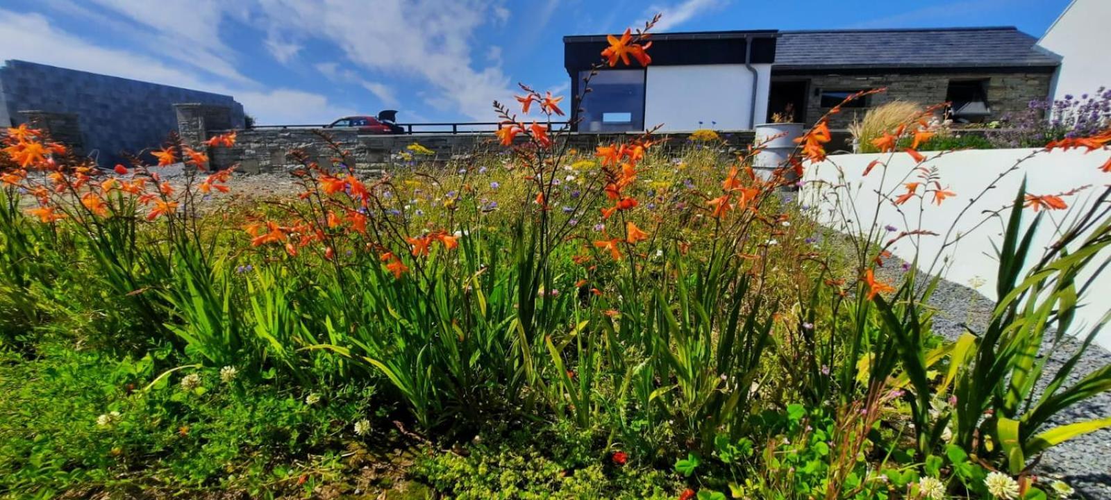 Rose Meadow Lodge Liscannor Exteriör bild